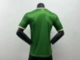 celtic 2024-25 green special version