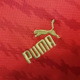 2023-24 Morocco home soccer jerseys