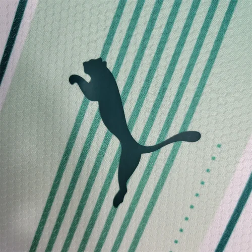 2023-24 Palmeiras away long-sleeved