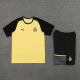 2024-25 Dortmund yellow cotton training suit