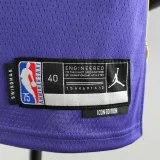 23 75th Anniversary TOSCANO #95 Los Angeles Lakers Jordan Purple NBA Jersey