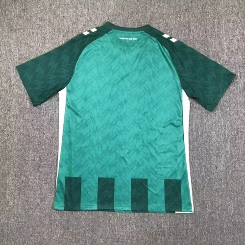2024-25 Werder bremen home