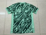 2024-25 Brazil green training suit