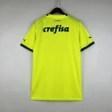 Palmeiras 2023-24 third away game