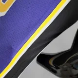 23 75th Anniversary TOSCANO #95 Los Angeles Lakers Jordan Purple NBA Jersey