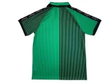 2024-25 Palestine Green jersey