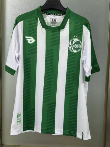 Juventus2024-25 home