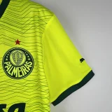 Palmeiras 2023-24 third away game