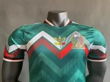 Player Version 2024 Mexico Green Dragon Ball Special(The player version is more slim fit, it is recommended to buy one size larger)