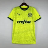 Palmeiras 2023-24 third away game