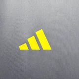 2024-25 Flamengo training gray soccer jerseys