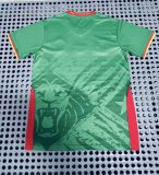2025-26 Cameroon green jersey