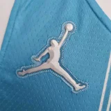 75th Anniversary Hayward #20 Charlotte Hornets Blue NBA Jersey