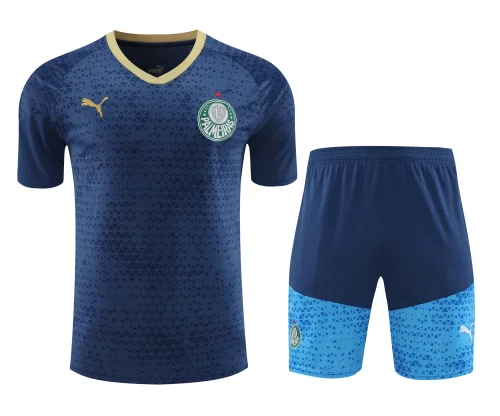 palmeiras 2024 SS training sets