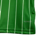 2024-25 Celtic green Commemorative edition