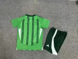 Northern Ireland 2024-25 kids kits