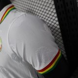 senegal 2024-25 white polo player version (The player version is more slim fit, it is recommended to buy one size larger)