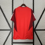 2024-25 Internacional red training shirt