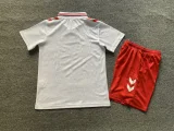2024 Kids Denmark Away Jersey