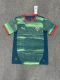 2025-26 Portugal green and blue special jersey
