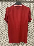 2025-26 Bayern red special jersey