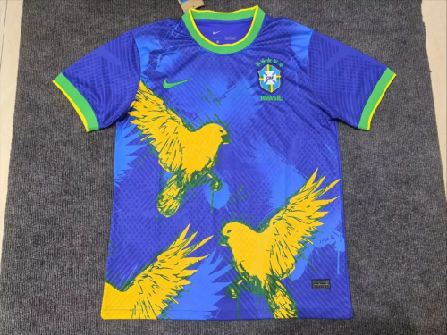 2025-26 Brazil blue special jersey