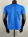 2025-26 Chelsea   blue special player version jersey  (The player version is more slim fit, it is recommended to buy one size larger)