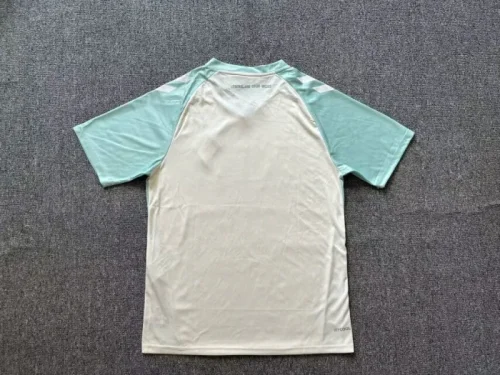 2024-25 Werder bremen away