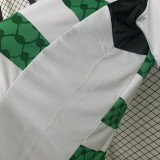 2025-26 Palestino green and white jersey