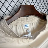 2024-25 Bayern Munich Third Away shorts