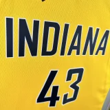Pacers jordan limited 43 SIAKAM