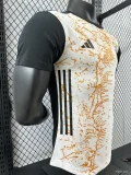 Player Version 2024 Argentina Maradona Special Tribute Jersey(The player version is more slim fit, it is recommended to buy one size larger)