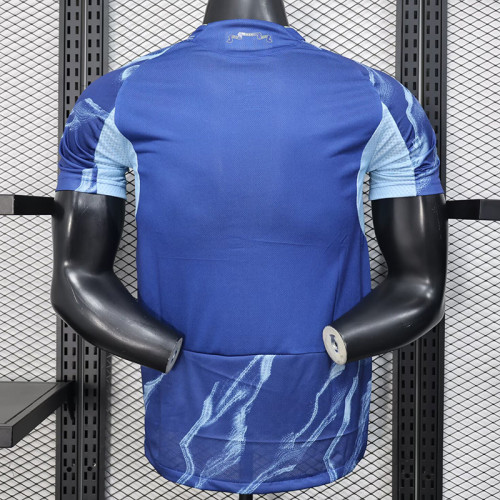 2025-26 Ajax away player version jersey   (The player version is more slim fit, it is recommended to buy one size larger)
