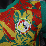 2024-25 Ivory Coast Pre-match Player version jersey (The player version is more slim fit, it is recommended to buy one size larger)