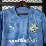 2025-26 Palmeiras Blue Goalkeeper Jersey
