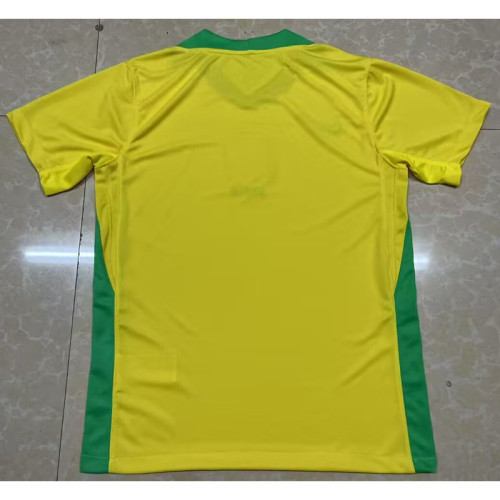 2025-26 Brazil home soccer jersey