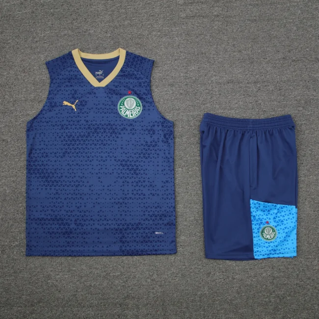 palmeiras 2024 training vest sets