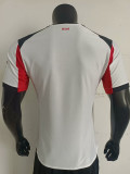 2025-26 AC Milan  white player version jersey  (The player version is more slim fit, it is recommended to buy one size larger)