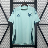 2025-26 Cruzeiro blue training jersey