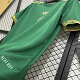 2025-26 Mexico green special jersey