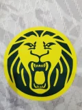 2023-24 Cameroon white player version(The player version is more slim fit, it is recommended to buy one size larger)
