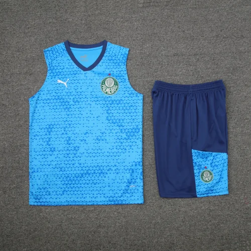 palmeiras 2024 training vest sets