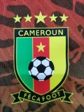 2023-24 Cameroon green player version(The player version is more slim fit, it is recommended to buy one size larger)