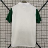2025-26 Palmeiras away jersey