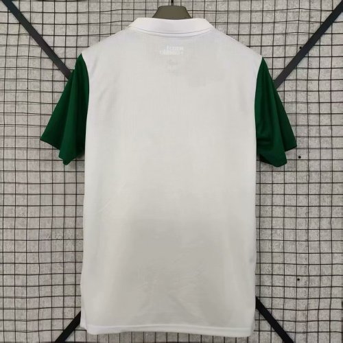 2025-26 Palmeiras away jersey