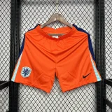 Netherlands 2024-25 Euro Jordan Version Jersey Player Version(The player version is more slim fit, it is recommended to buy one size larger)