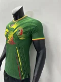 2023 Mali away green player version jersey