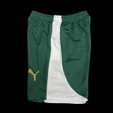 2024-25 Palmeiras away white kid kit