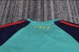 spain 2010 Retro green gk kid kit
