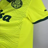 Palmeiras 2023-24 third away game